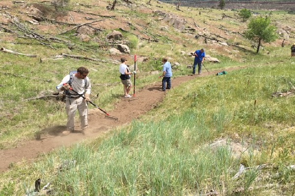 Four People standing along a trail using graders (long rake)