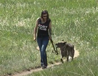 Go to: https://www.youtube.com/watch?v=1IEhi9l3q8o