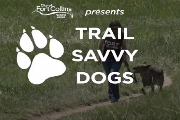 Trail Savvy Dogs