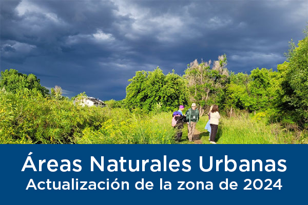 Photo of cover of Urban Zone plan-ES