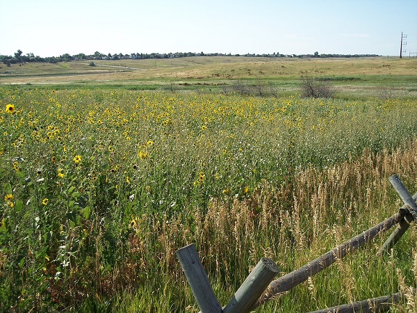 Long View Trail Construction