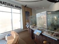 Natural Areas Exhibit3
