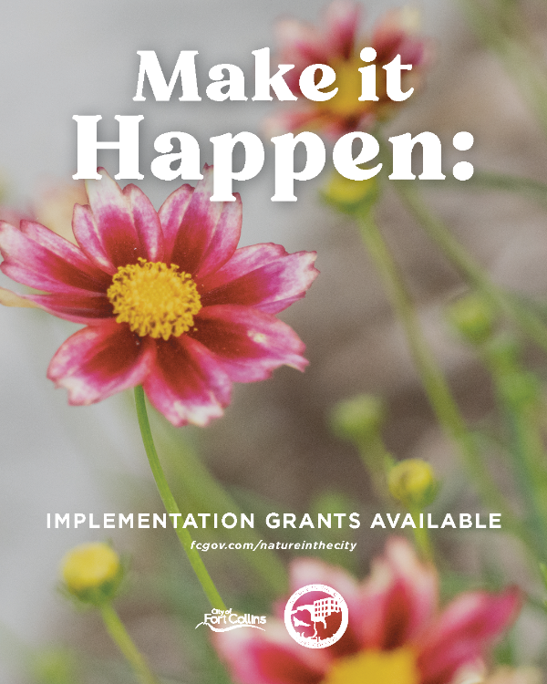 Make it Happen Implementation Grants!