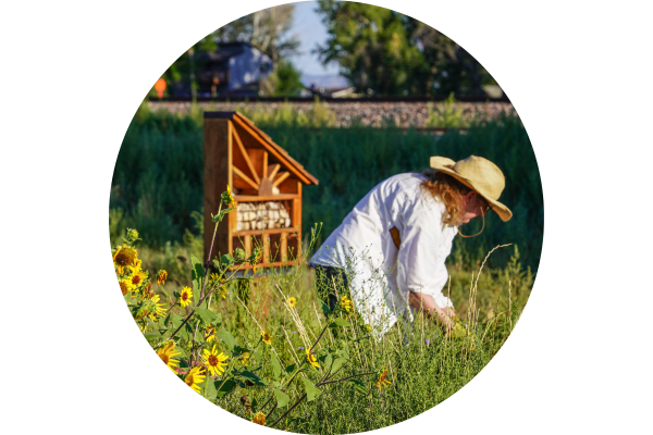 Volunteer at Sugar Beet Park.