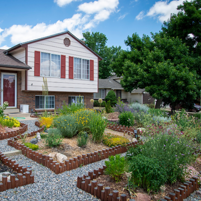 Native pollinator garden.