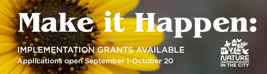 Make it Happen: Implementation Grants Available