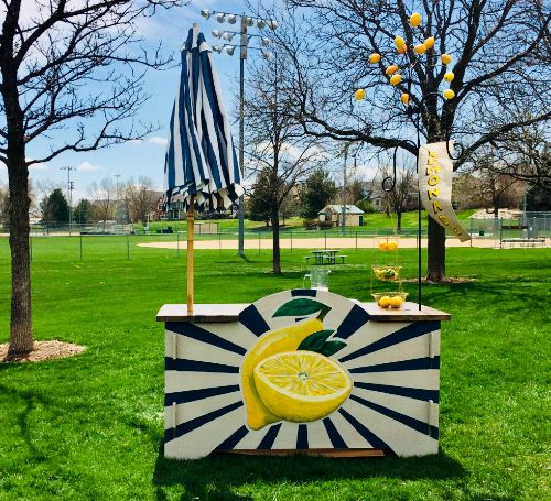 Lemonade Stand Summer 2019 Neighborhood Tour