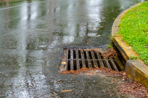 Only Rain Down the Storm Drain