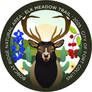 Media image thumbnail