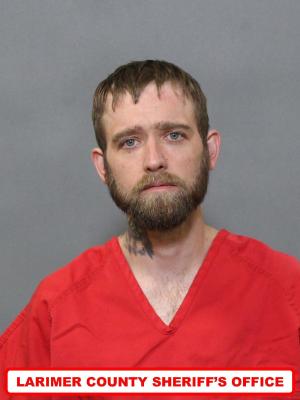 Media image thumbnail