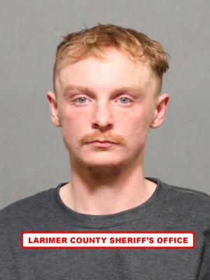 Media image thumbnail