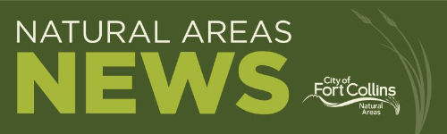 Green background with "Natural Areas" in white and "News" in lime green with City of Fort Collins Natural Areas logo on the right