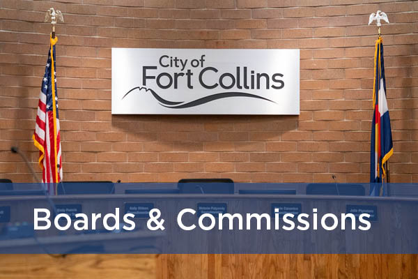 Boards and Commissions