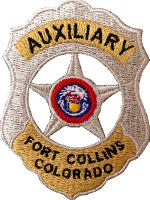 auxiliary