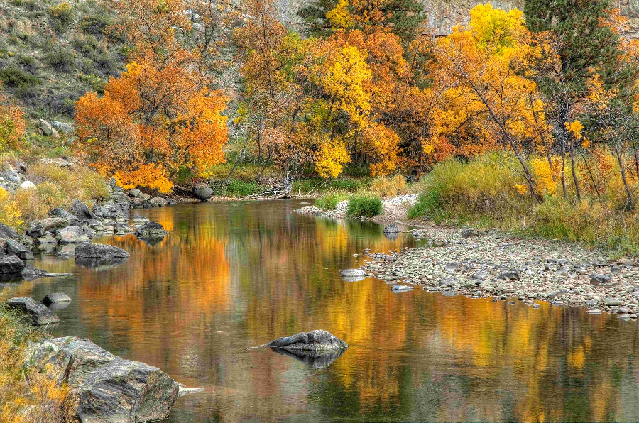 River flowing with golden leaved trees in the background.