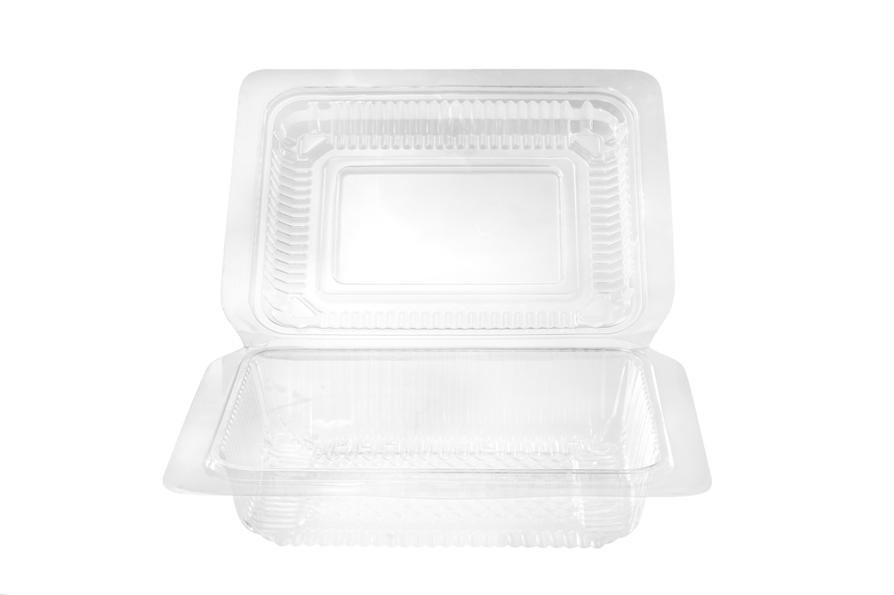 Clear Plastic Berry and Salad Container - City of Fort Collins