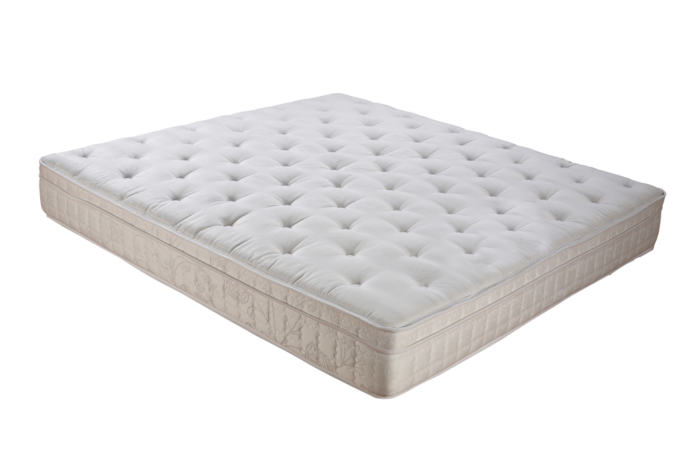 bedbug queen mattress and box springs