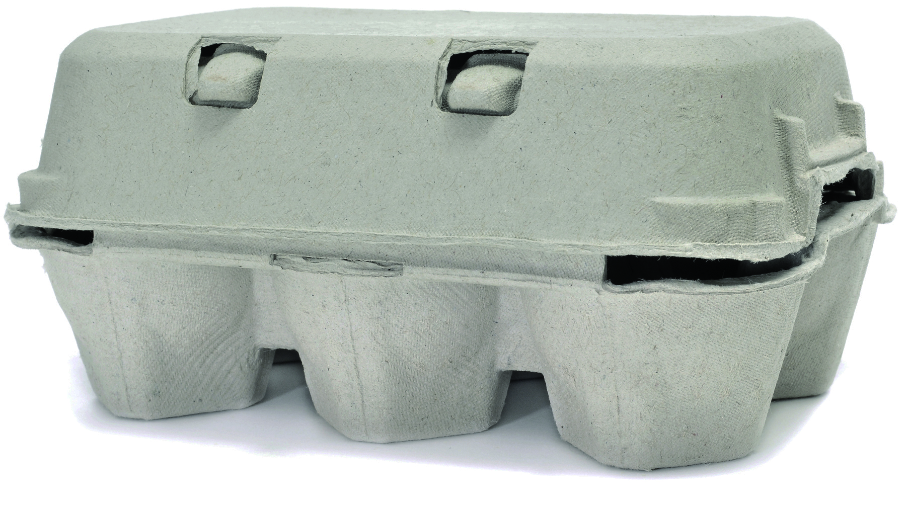 Paper Egg Carton