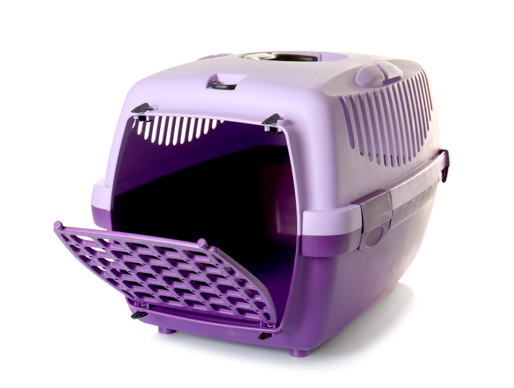 Plastic Pet Carrier