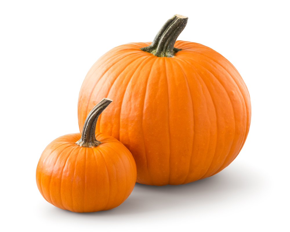 Pumpkin