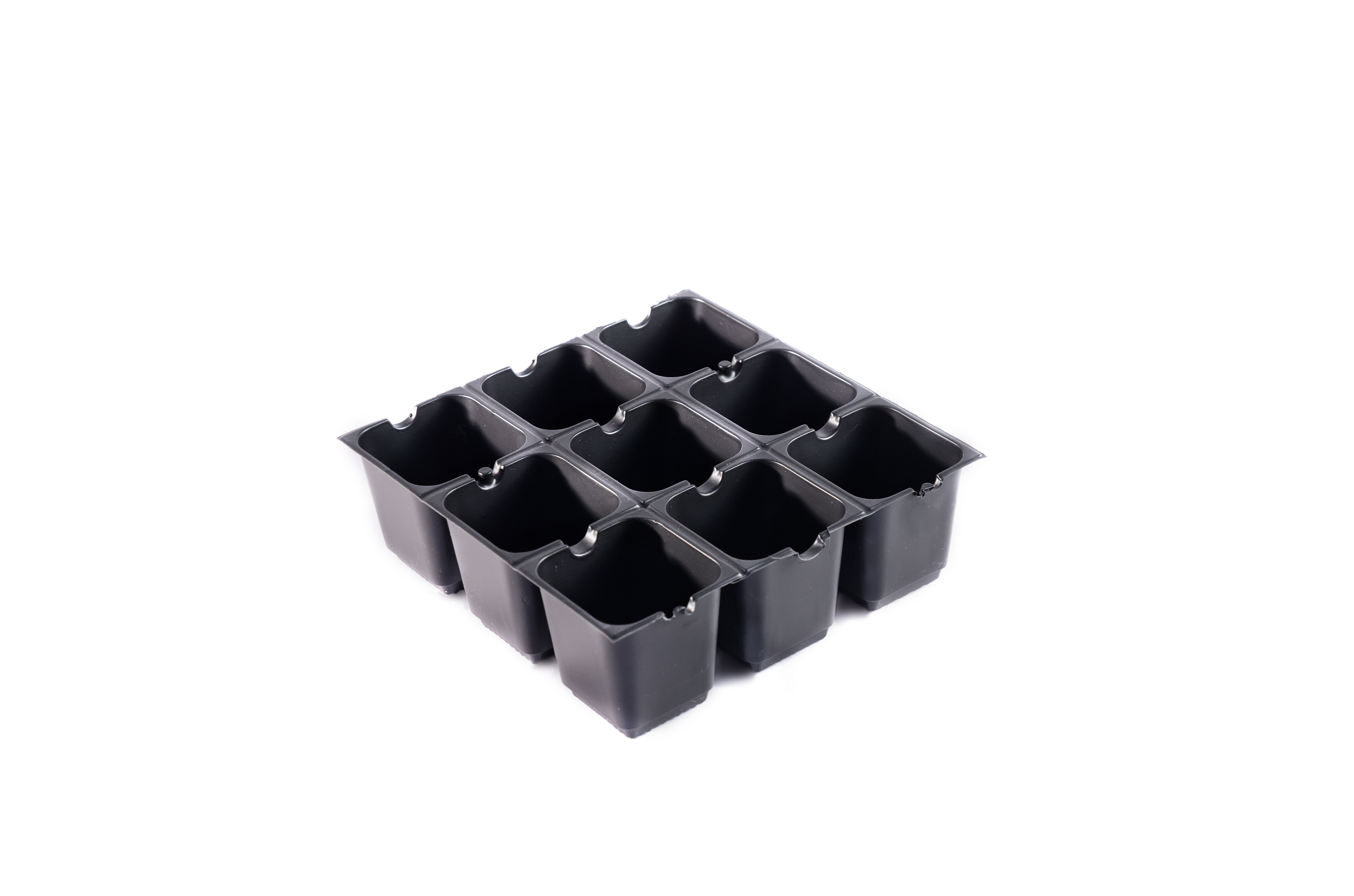 Seed Tray