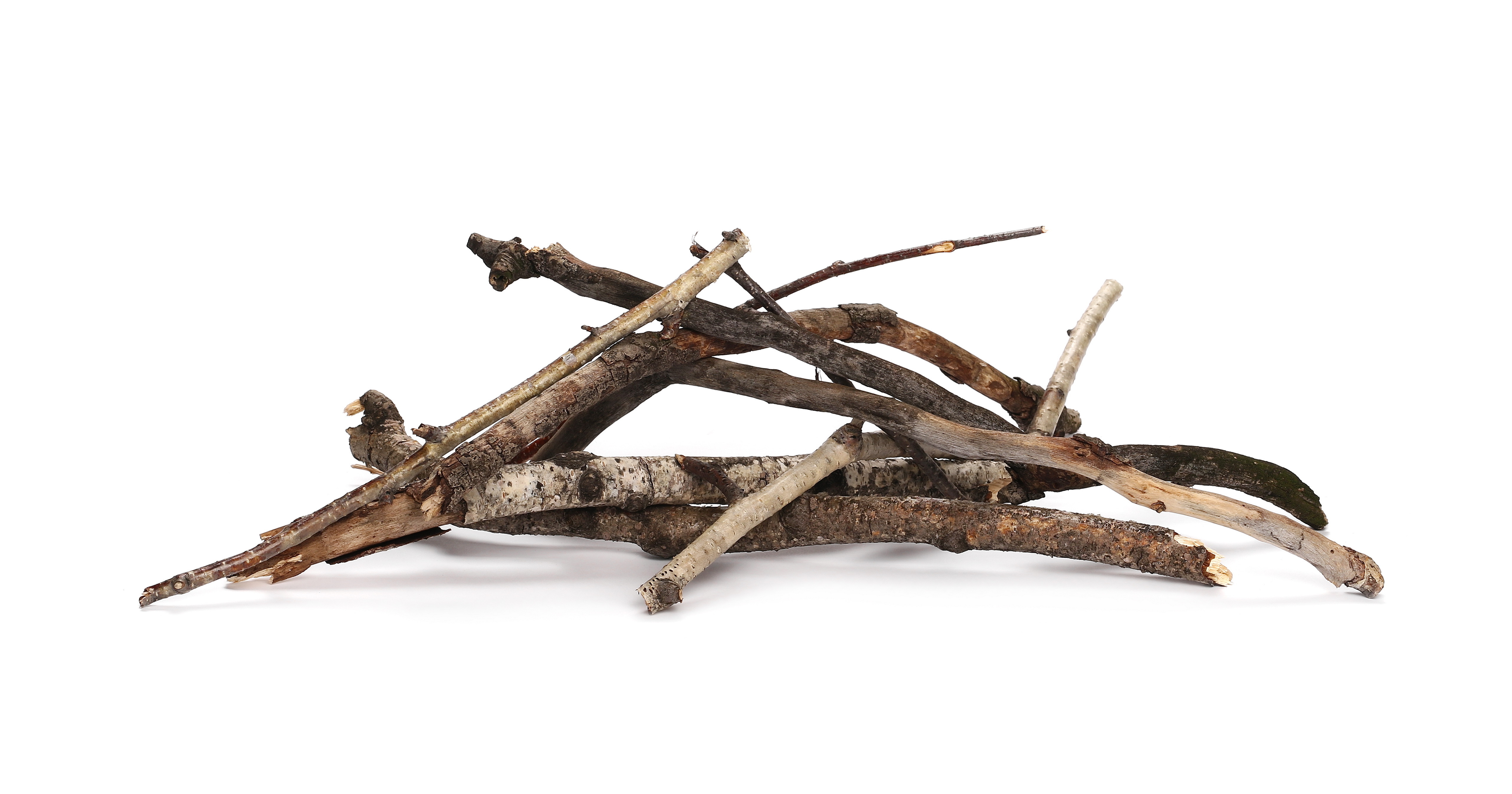 Wood Waste