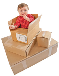 Cardboard
