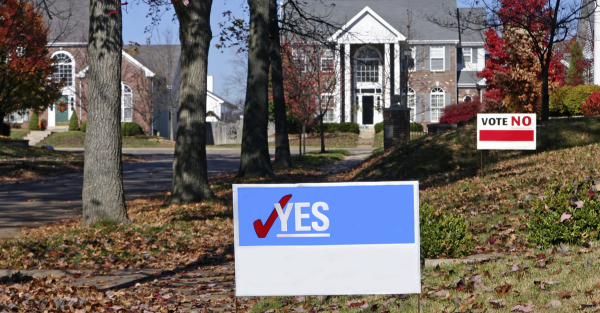 photo of an election sign in someone's yard