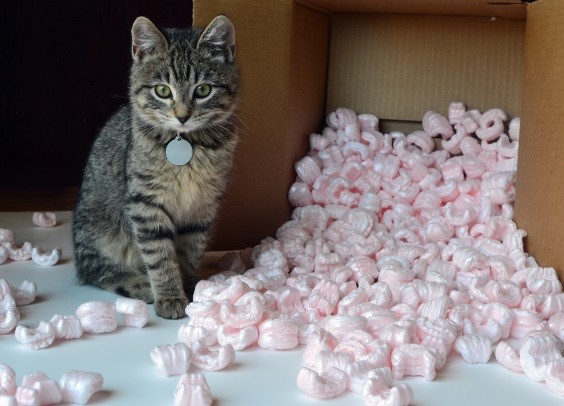 Styrofoam & Packing Peanuts