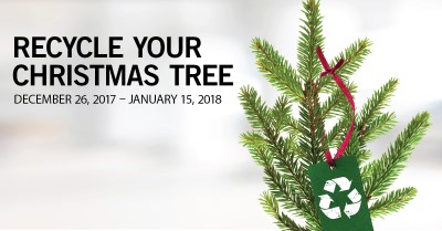 Recycling Trees