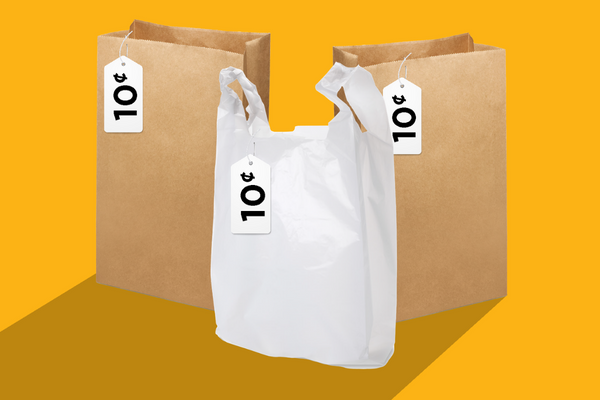 one plastic carryout bag and two paper carryout bags with ten cent tags on them