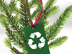 christmas tree recycling.jpg christmas tree recycling.jpg
