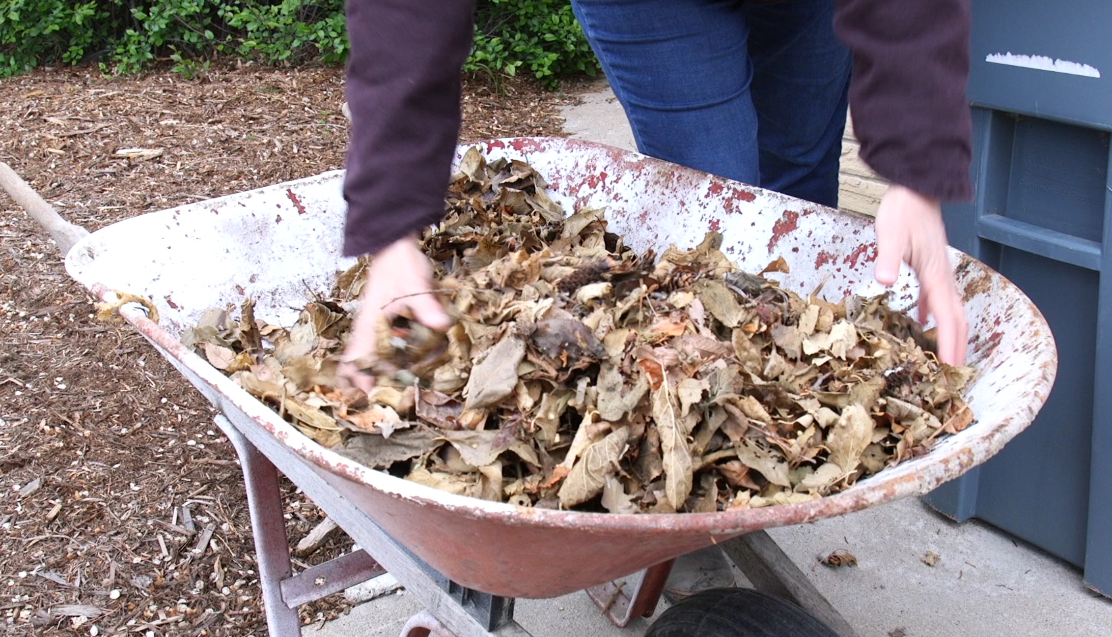 yardwaste.jpg yardwaste.jpg
