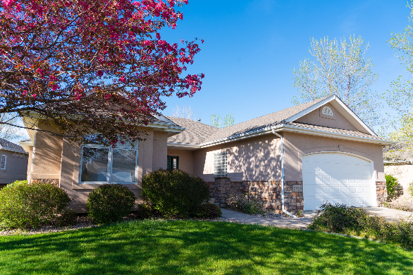 Photo of a single-family home with a green lawn, flowering tree and many bushes.