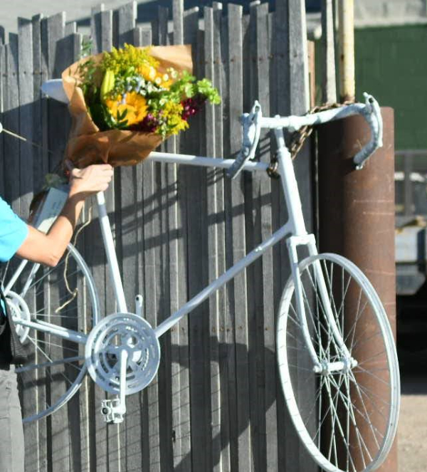 A person putting flowers on a bicycle painted white.