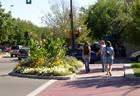 Pedestrian Plan