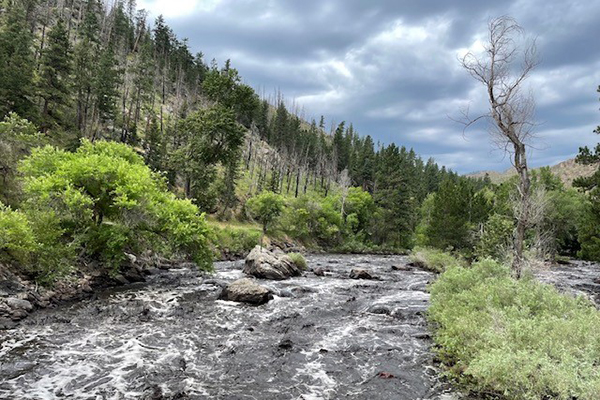 Black Water on the Poudre