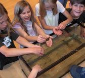 Kids Learn About Water with Fun, Hands-On Activities