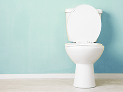 a toilet