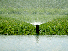 sprinkler