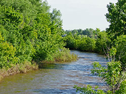 Go to: https://www.youtube.com/watch?v=BJTgcvCP894&feature=youtu.be