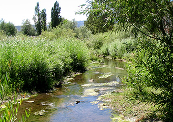 Flood Protection, Stormwater Master Planning and Stormwater Quality