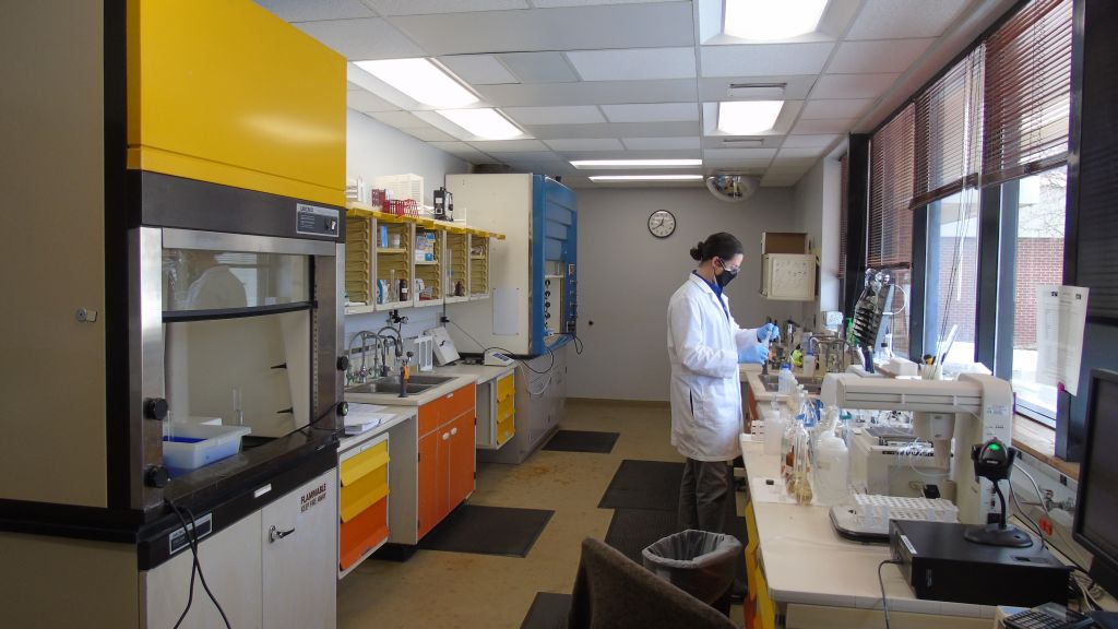 scientist working in lab