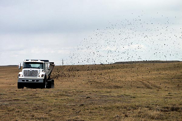 Biosolids land application