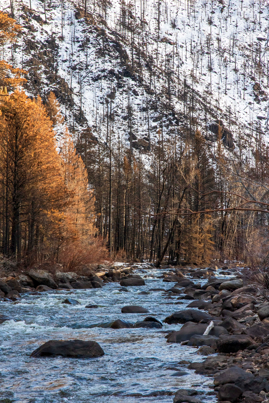 Cameron Peak Fire Burn Area around the Poudre River