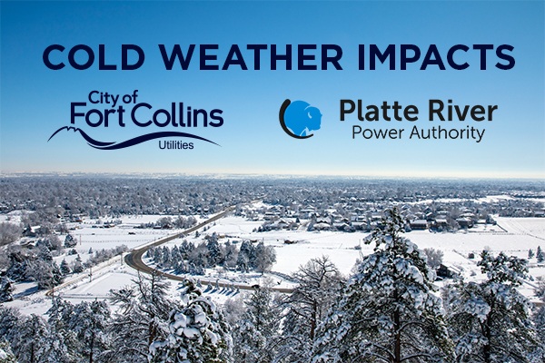 Snowy Fort Collins with text,