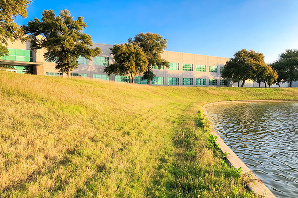grass outside a commercial building
