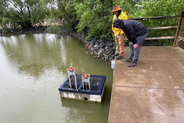 two people looking at filtration system in pond