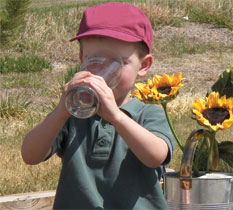 High Quality Drinking Water