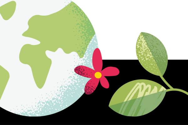 Illustration of the Earth and plants.
